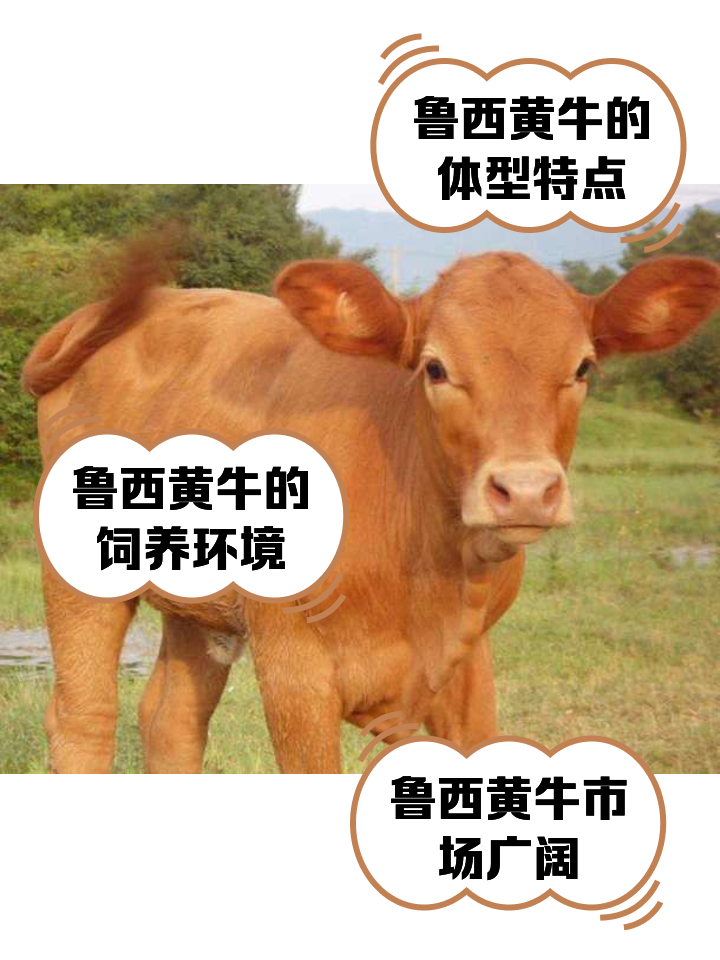 靖边最新医保取现黄牛方法分析(最方便真实的靖边医保取现黄牛怎么取方法)